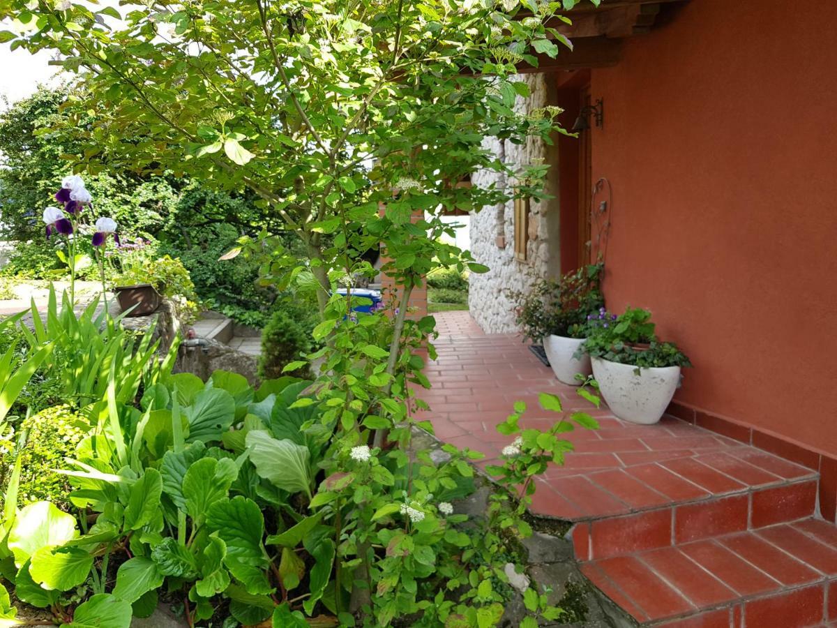 Mediterran Apartman ペーチ エクステリア 写真