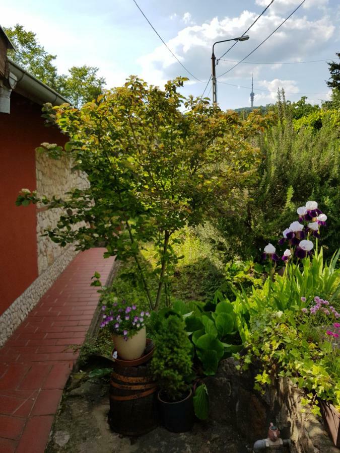 Mediterran Apartman ペーチ エクステリア 写真